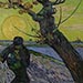 Artwork Image: Sower with Setting Sun
